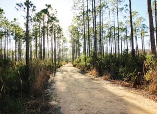 Hit The Trails: Start Off the New Year in Nature Conservation Park 1