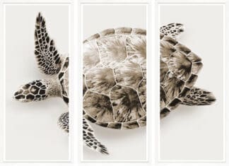 Design and Culture: For The Love of Art, Wall Art That Is Gp Turtle