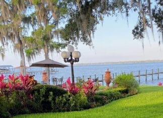 Let’s Get Growing with Julie: Take the Florida-Friendly Landscaping Pledge! Florida Friendly Landscaping Example