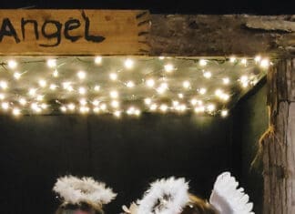 Veterans, Fishing, and Thanksgiving Capt Anderson Angels