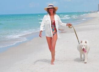 Introducing Established Member: Bay Families with Dogs Bay Families With Dogs