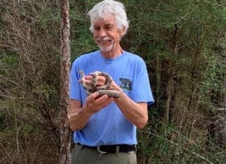 We Love Snakes! Image2