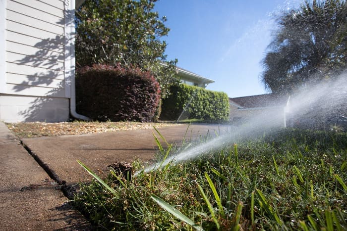 Growing Sprinkler