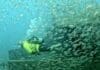 Panama City Beach to Add Three Major Artificial Reefs This Fall Artificial Reefs 2