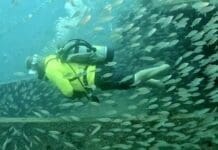 Panama City Beach to Add Three Major Artificial Reefs This Fall Artificial Reefs Ft