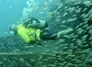 Artificial Reefs Ft