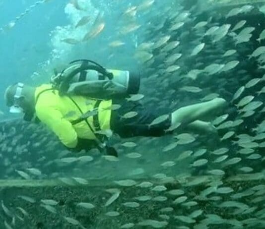 Artificial Reefs Ft