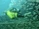 Panama City Beach to Add Three Major Artificial Reefs This Fall Artificial Reefs Ft
