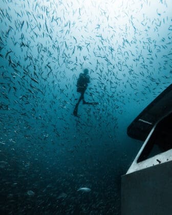 Artificial Reefs Pcb Diving