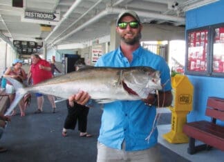 Amberjack and The Great Red Snapper Count Amberjack
