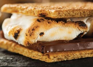 Movies and S’mores Moves OUTDOORS June 24, July 8, and 22 Smores
