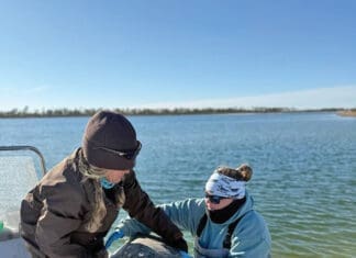 Winter Rescue: Community Comes Together After Cold-Stun Event Threatens Sea Turtles Gulf World Marine Institute Turtle Rescue