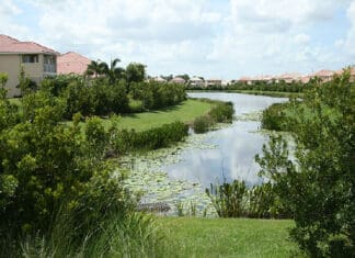 Let’s Get Growing Waterfront