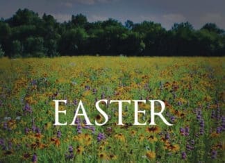 Sean of the South: What is Easter? Sean Dietrich Easter Image