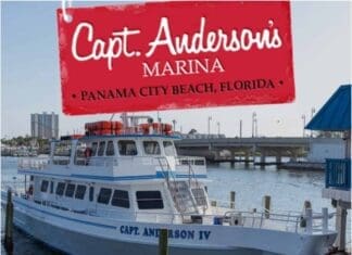 Andersons Marina