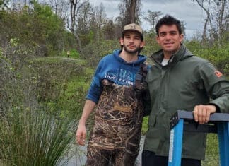 Wood Duck Boxes Provide Habitat In The Middle Of Panama City 2