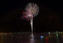 Fireworks Pic